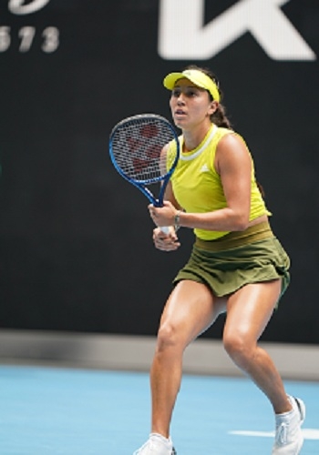 业内人士开 业内人士开