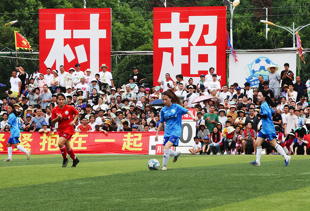 战术还是情 战术还是情