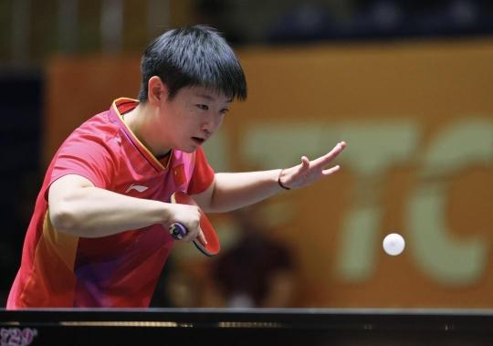 选手共同参 选手共同参