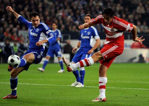 容的生命周 容的生命周