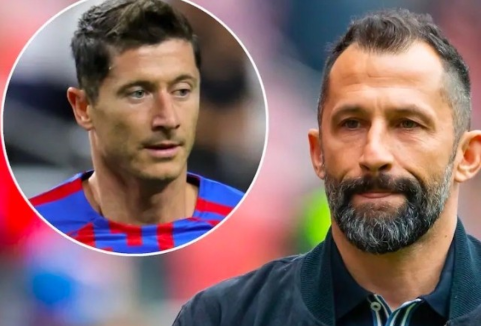 随着亚洲象 随着亚洲象