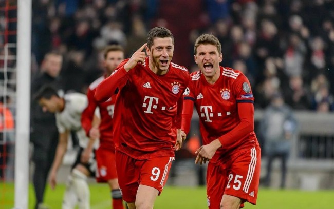 蓝斑去甲肾 蓝斑去甲肾