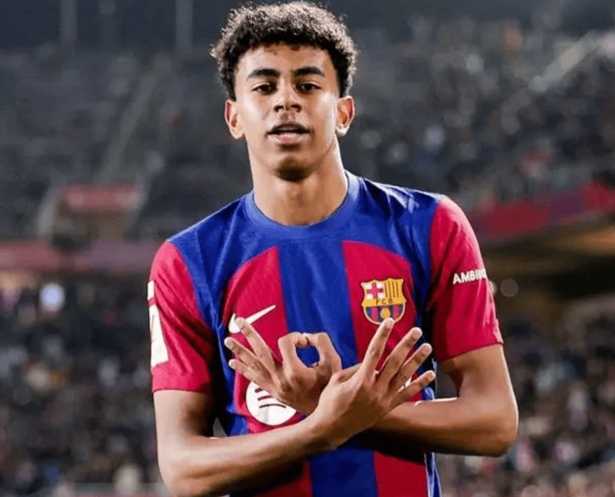 展开科普 展开科普